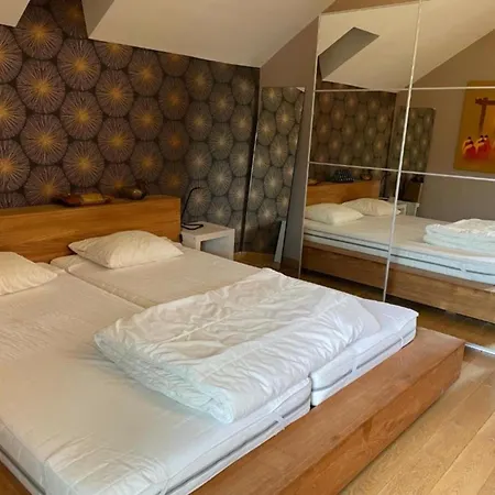Les Bambous En Ardenne Сasa de vacaciones La-Roche-en-Ardenne