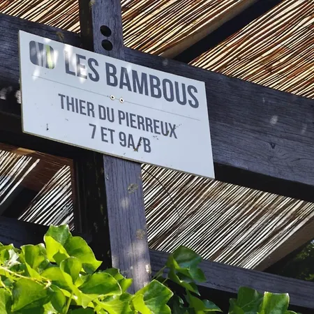 Les Bambous En Ardenne *